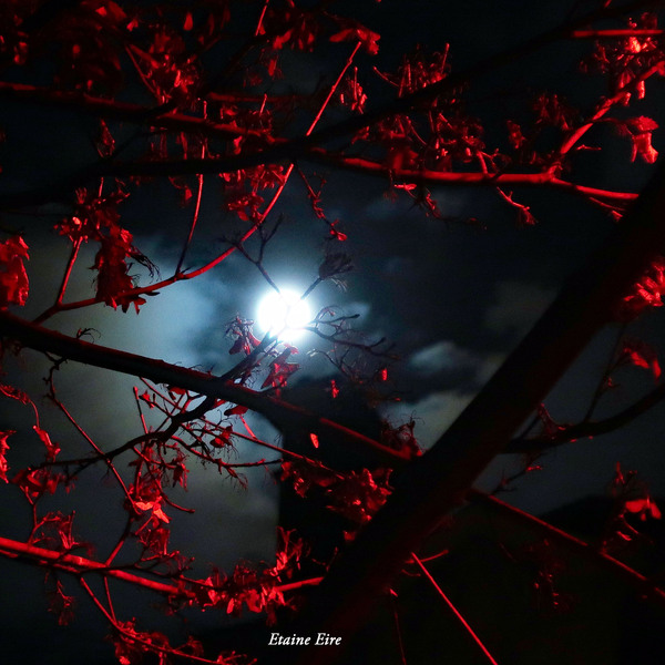 Lune arbre rouge