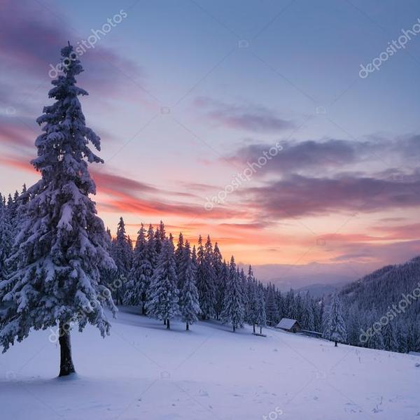 Depositphotos 122822048 stock photo christmas landscape with fir tree