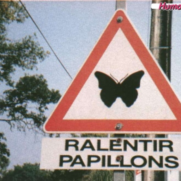 Papillons2