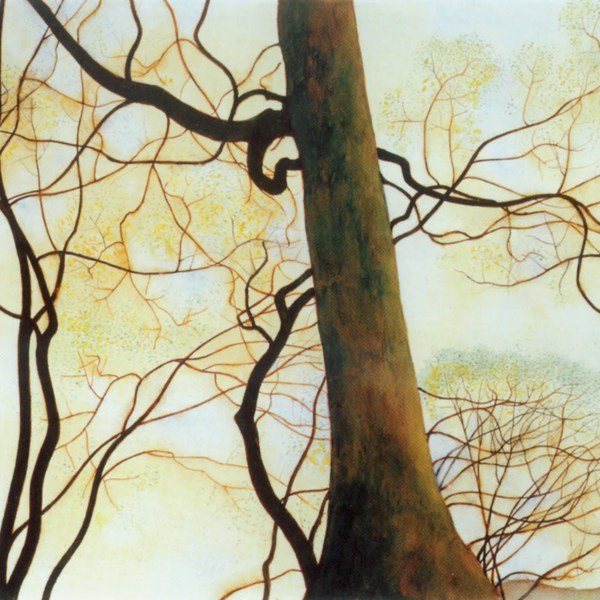 3.tronc de hetre et branches au printemps (1930) 001
