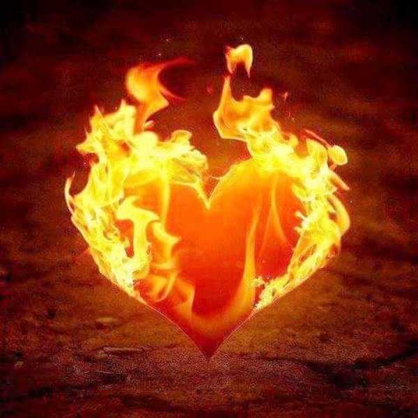 Coeur  feu