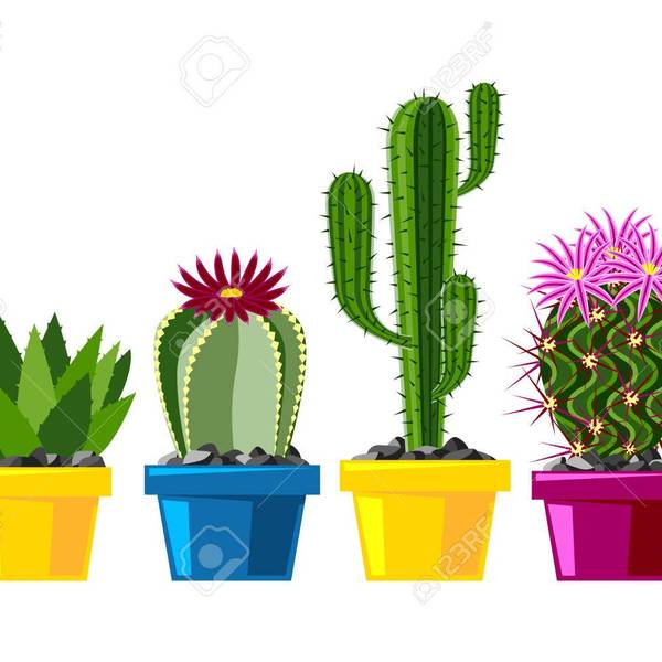 75823613 cactus style plat nature d%c3%a9sert fleur vert dessin anim%c3%a9 dessin graphique mexicain succulent et tropicale