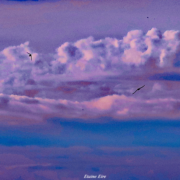 Nuages   ballet oiseaux