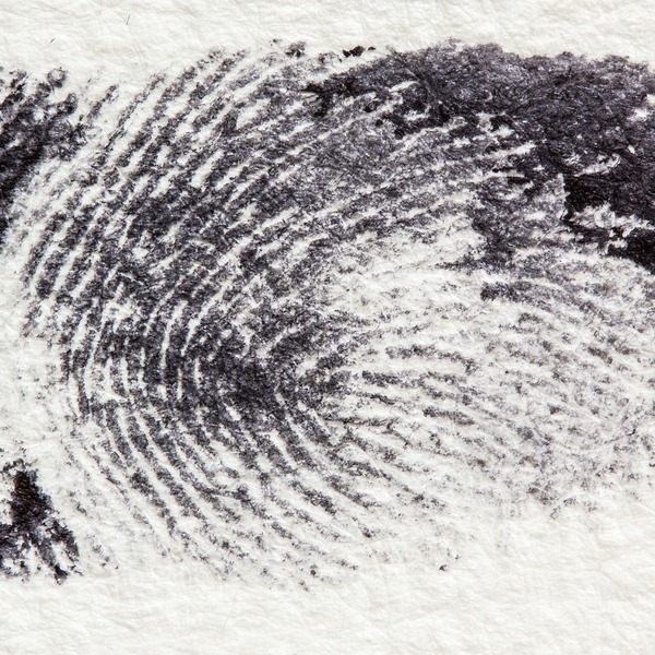 Fingerprint 255899 1920