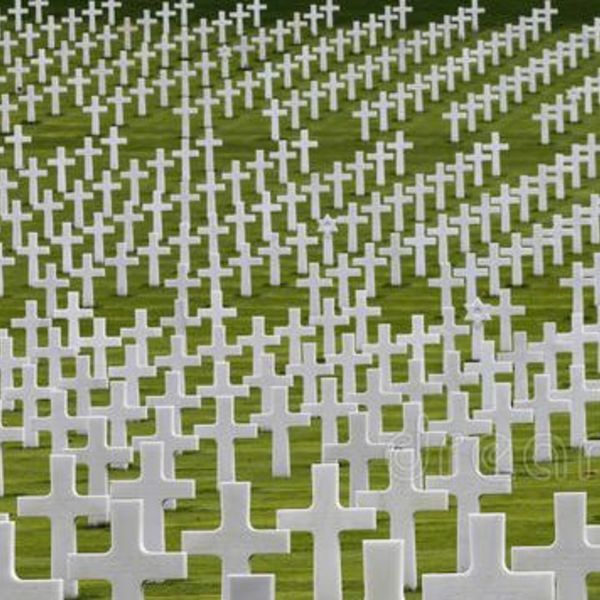War memorial white crosses 43248484