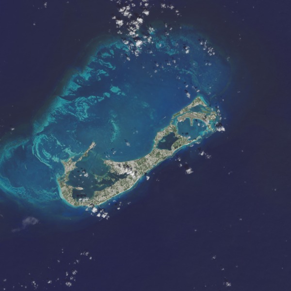 Bermuda oli 2014275 lrg cropped