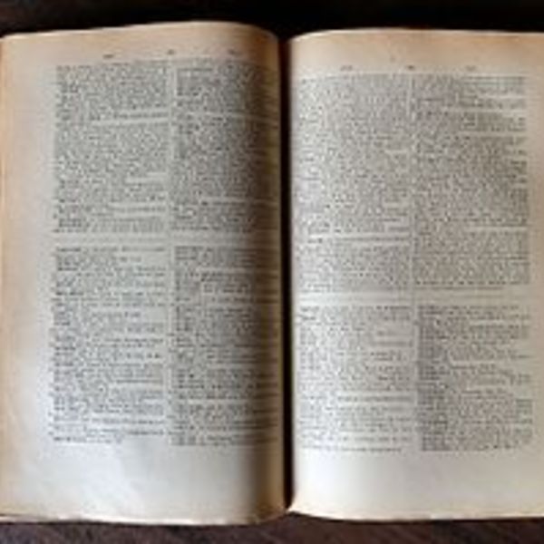 Dictionnaire2