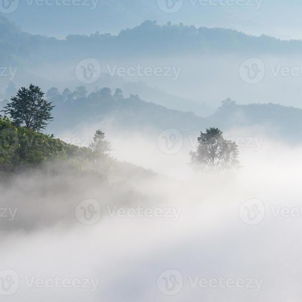 4850378 vue panorama de la brume etonnante se deplacant sur la nature les montagnes pendant le lever du soleil dans la zone des montagnes en thailande photo
