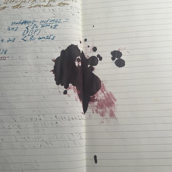 Thought my new pen was out of ink and spilled writers blood v0 n2w4l02823ab1