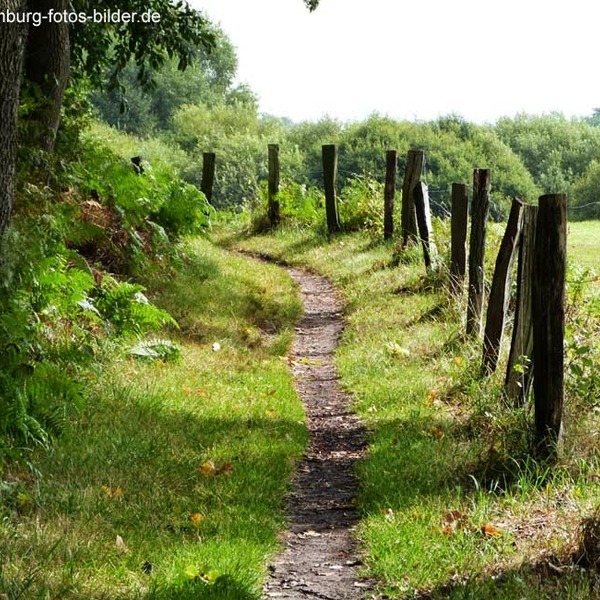 Wanderweg hamburg duvenstedter brook