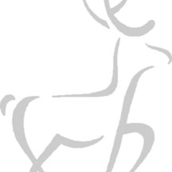 Deer illustration (1)