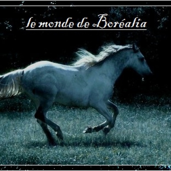 177596cheval   loup orig