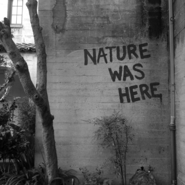 Nature was here